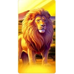 Lion
Safari
